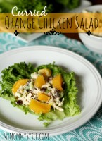 Curried Orange Chicken Salad – Food Contributor