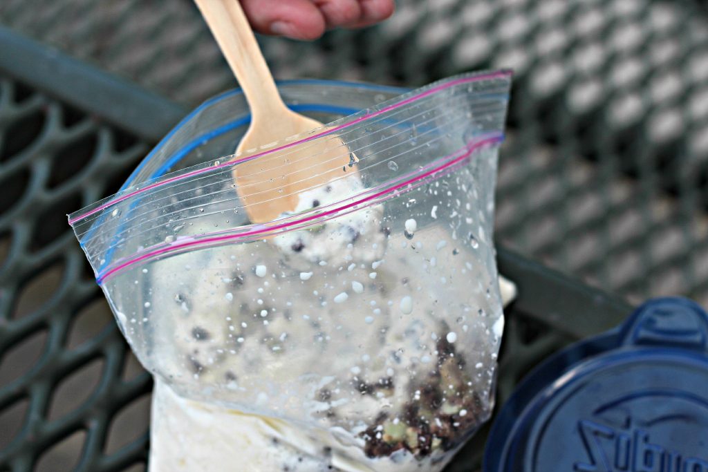 Ice Cream in a Bag dessert