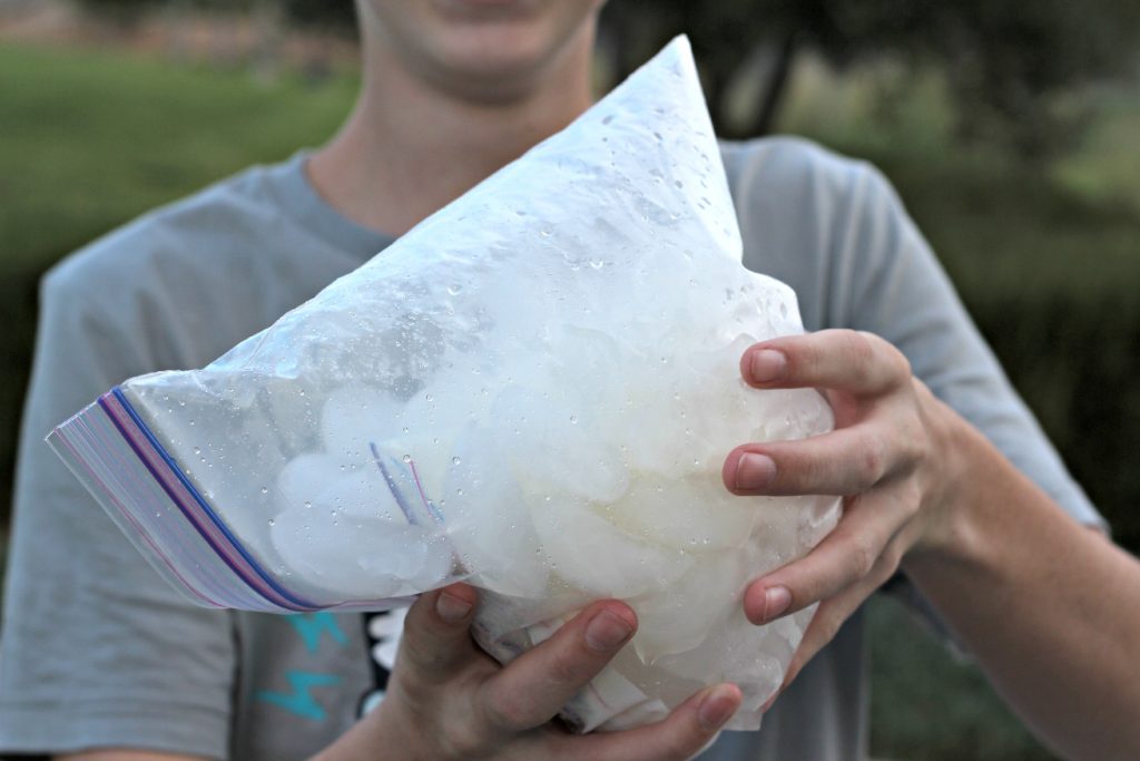 Ice Cream in a Bag shake