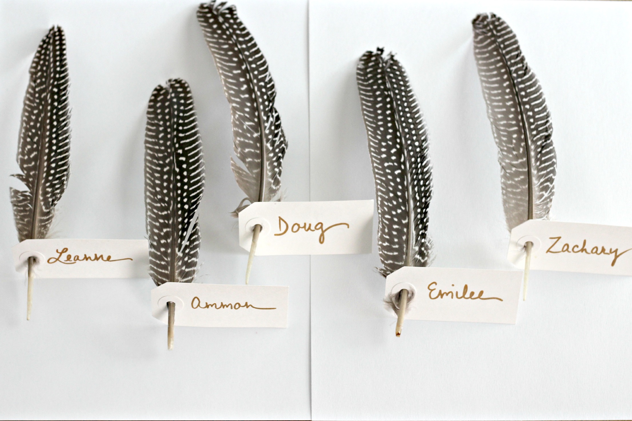 Feathers Place Card Feathers Place Card