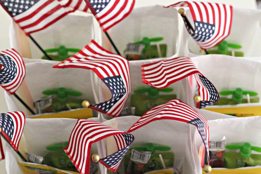 4th of July Parade bags top view