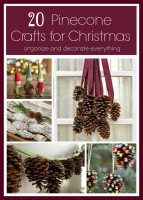 20 of the Best Pinecone Crafts for Christmas