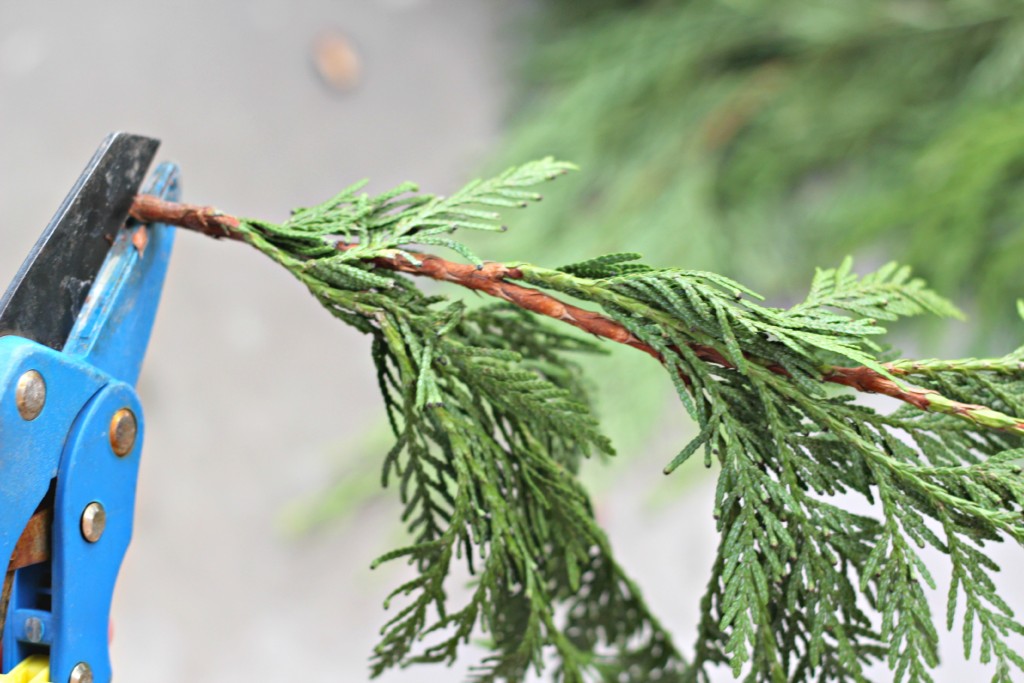 Make a Simple Pine Bough Arrangement Organize and Decorate Everything
