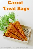 Carrot Treat Bags
