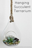 Hanging Succulent Terrarium