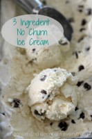3 Ingredient No Churn Ice Cream