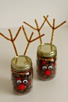 Reindeer Jars - Organize and Decorate Everything