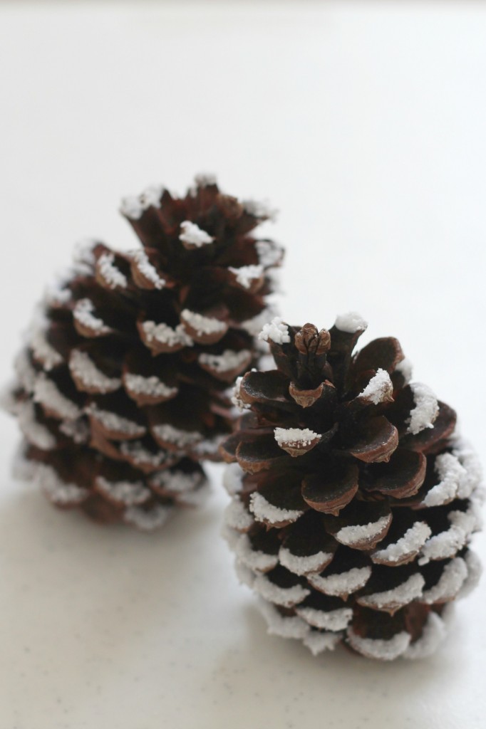 Snowy Pine Cones (4 Ways) Organize and Decorate Everything