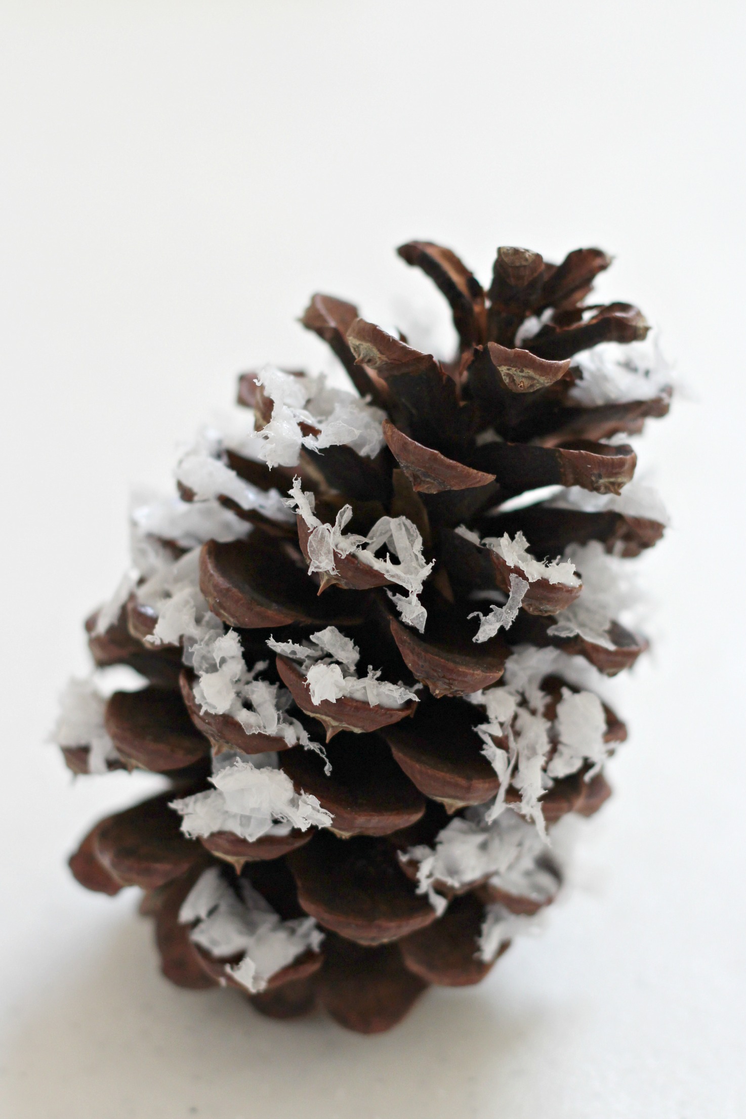 Snowy Pine Cones (4 Ways) Organize and Decorate Everything