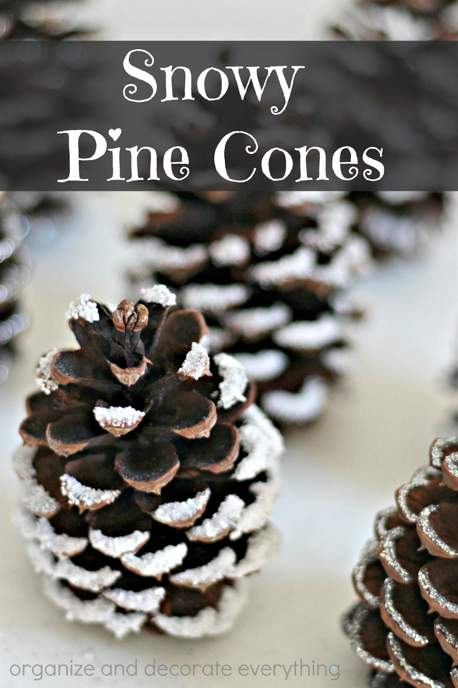 Snowy Pine Cones (4 Ways) Organize and Decorate Everything