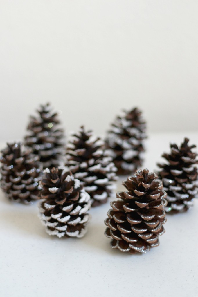 Snowy Pine Cones (4 Ways) Organize and Decorate Everything