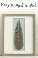 Easy Framed Feather