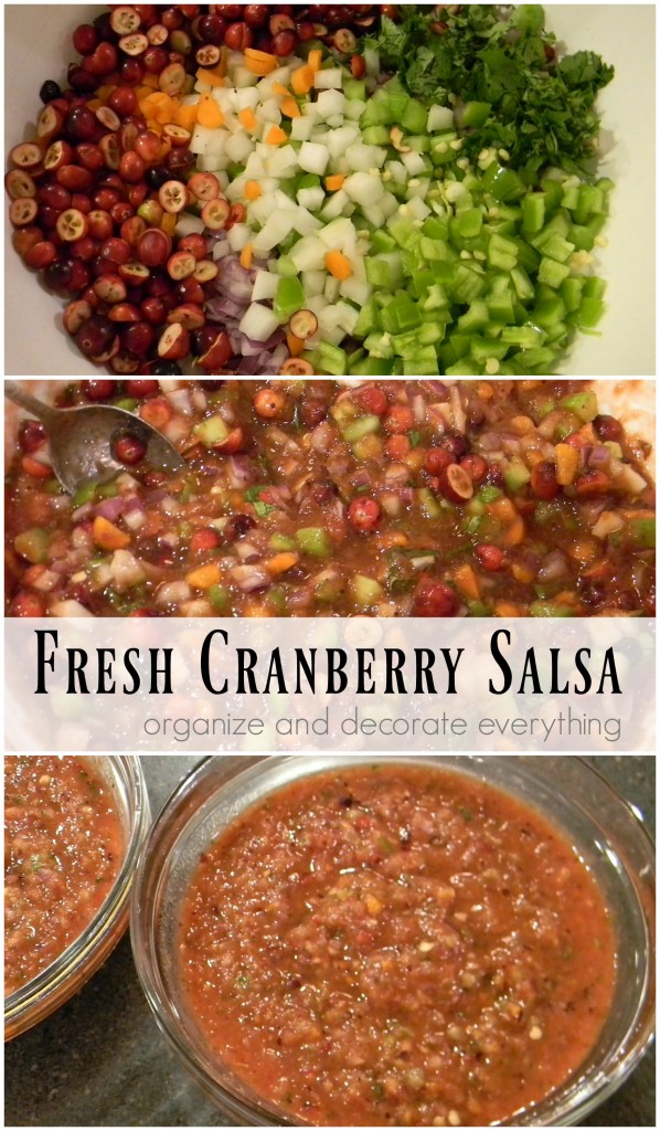 fresh-cranberry-salsa-by-steps