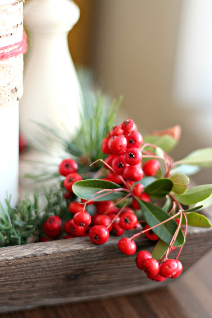 thrifty-christmas-decorating-berries