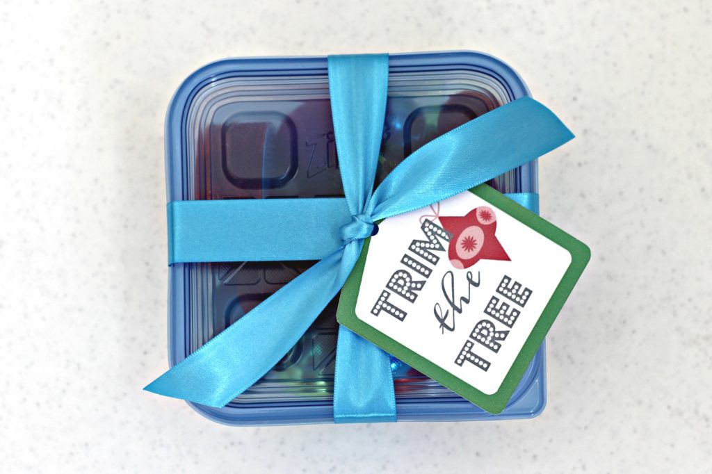 Christmas Gift Kit Ideas with Ziploc Containers - Organize and Decorate  Everything