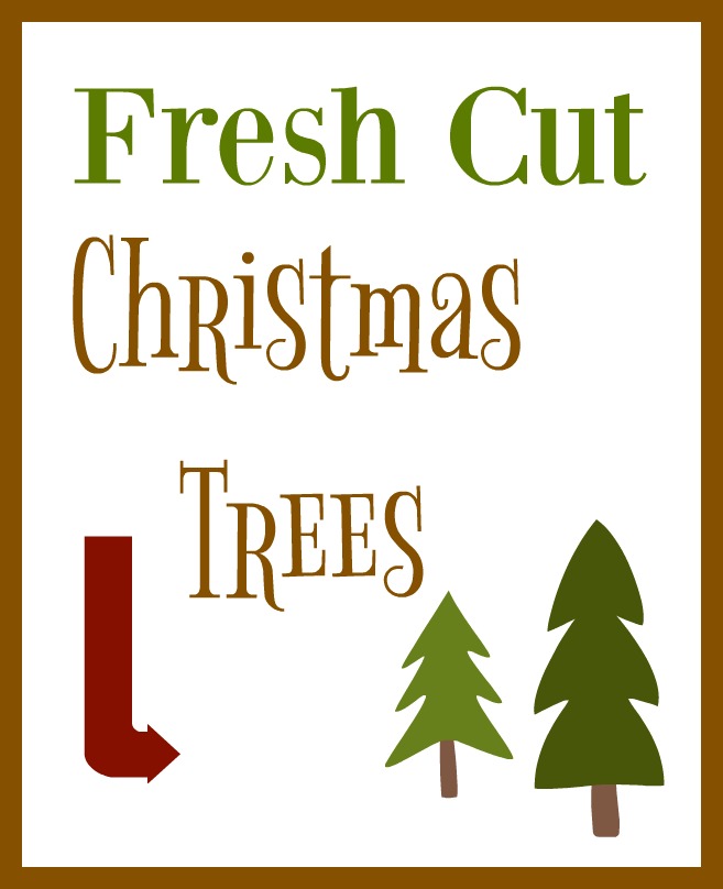 fresh cut christmas trees