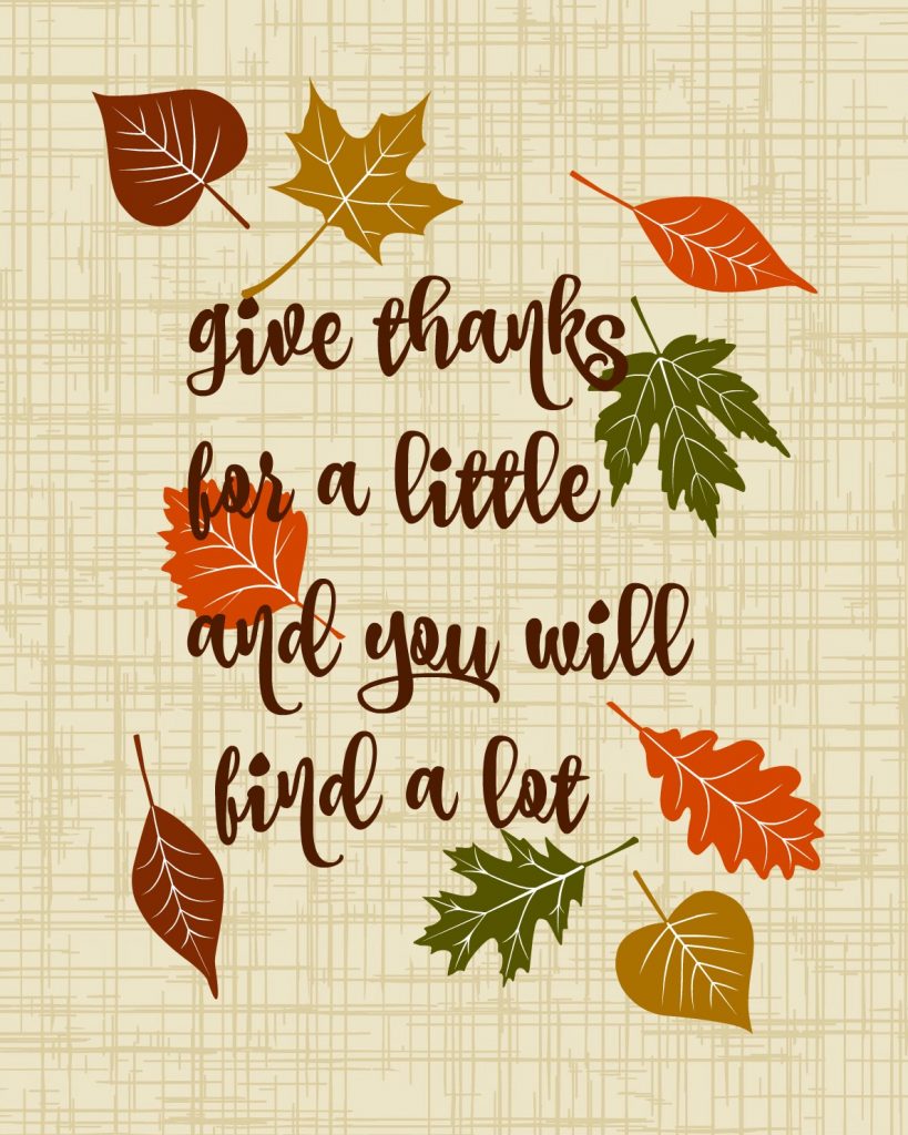 Give Thanks for a Little and you Will find a Lot