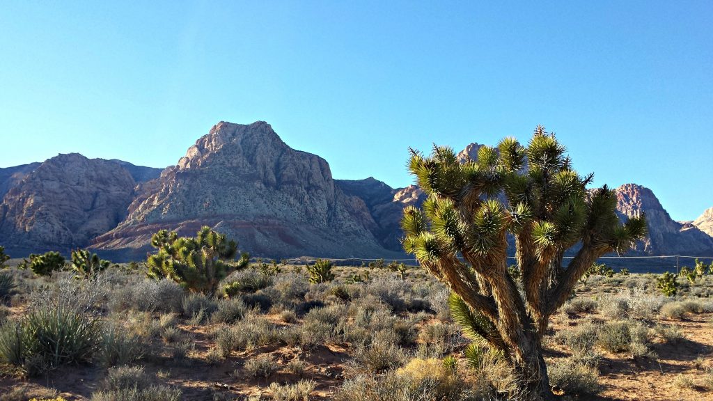 Red Rock Canyon 1