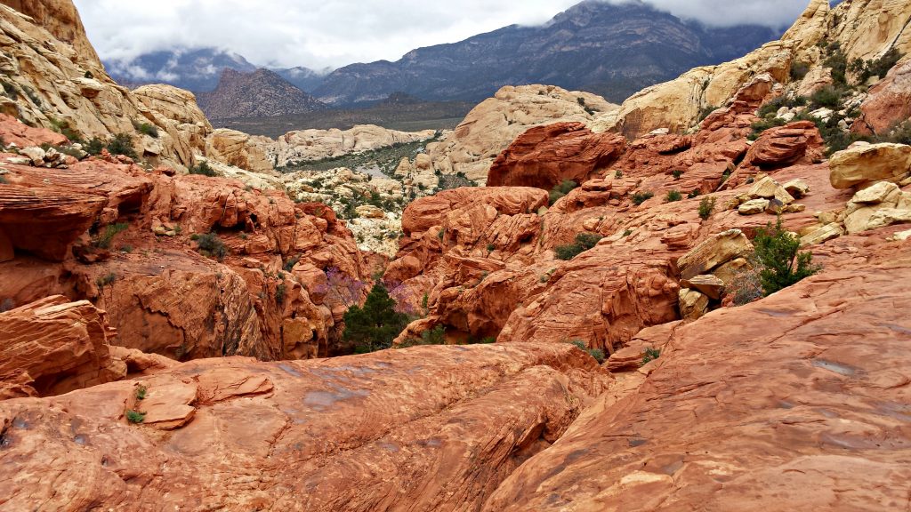 Red Rock Canyon 3