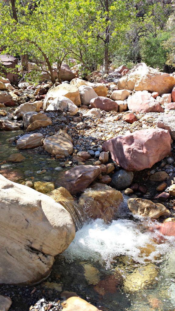 Red Rock Canyon Pine Creek