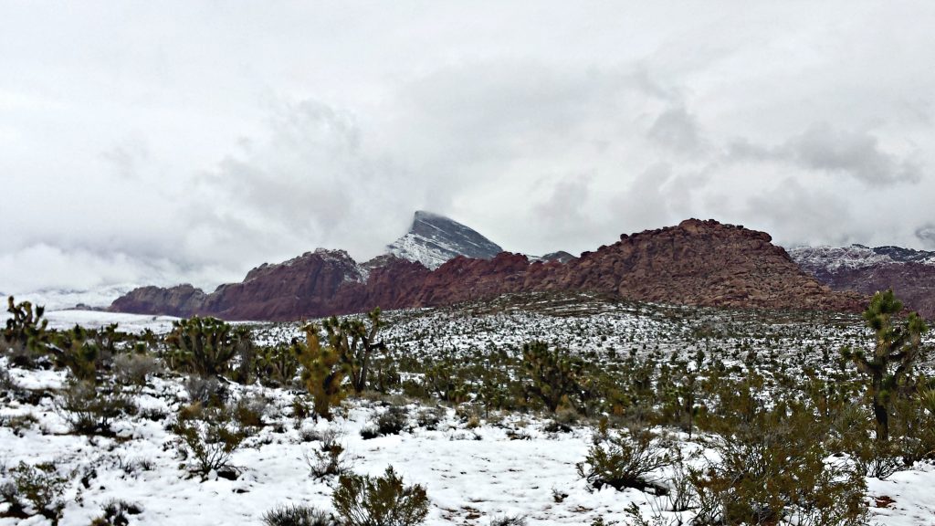 Red Rock Canyon in snow