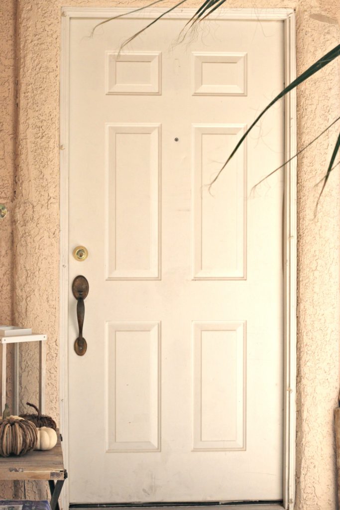 How to Paint a Front Door before photo