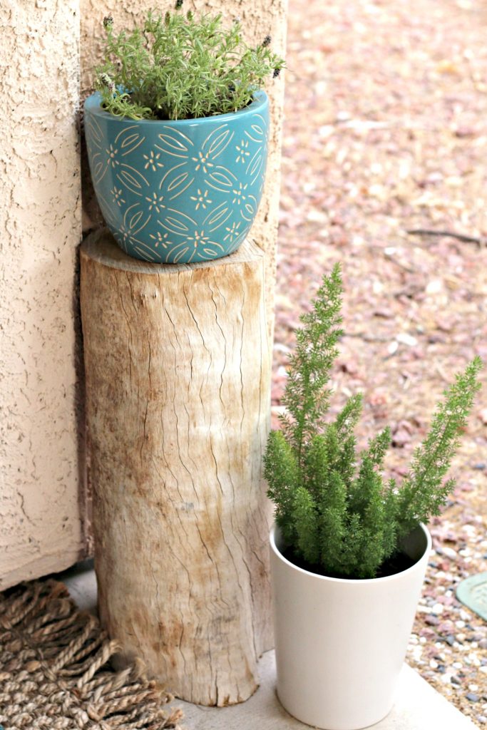 Spring Summer Front Porch flowers