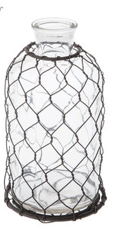 Glass Vase with Chicken Wire