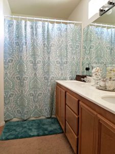 Bathroom Update on a Budget