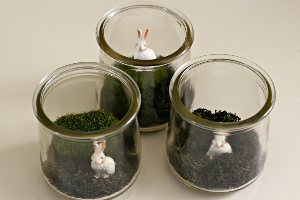 Mini Bunny Terrarium bunnies added