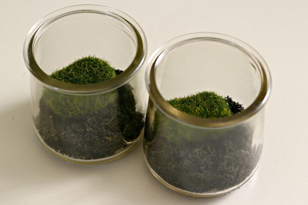 Mini Bunny Terrarium moss rocks