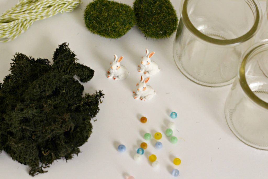 Mini Bunny Terrarium supplies