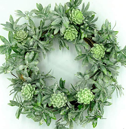 Succulent Wreath