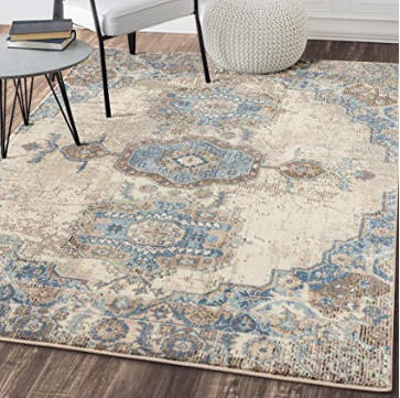 Bohemian Chic Paisley Area Rug