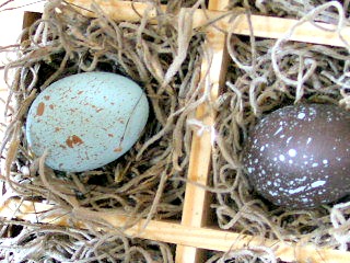 Speckled Eggs DIY 4