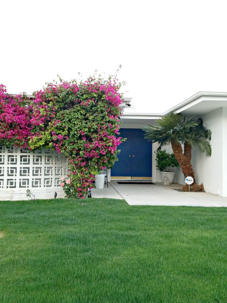 Palm Springs Colorful Doors Blue 4