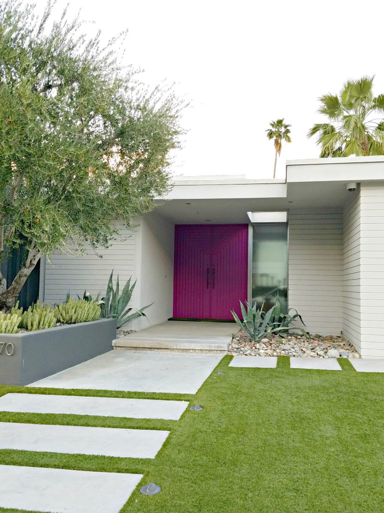 Palm Springs Colorful Doors Fushia