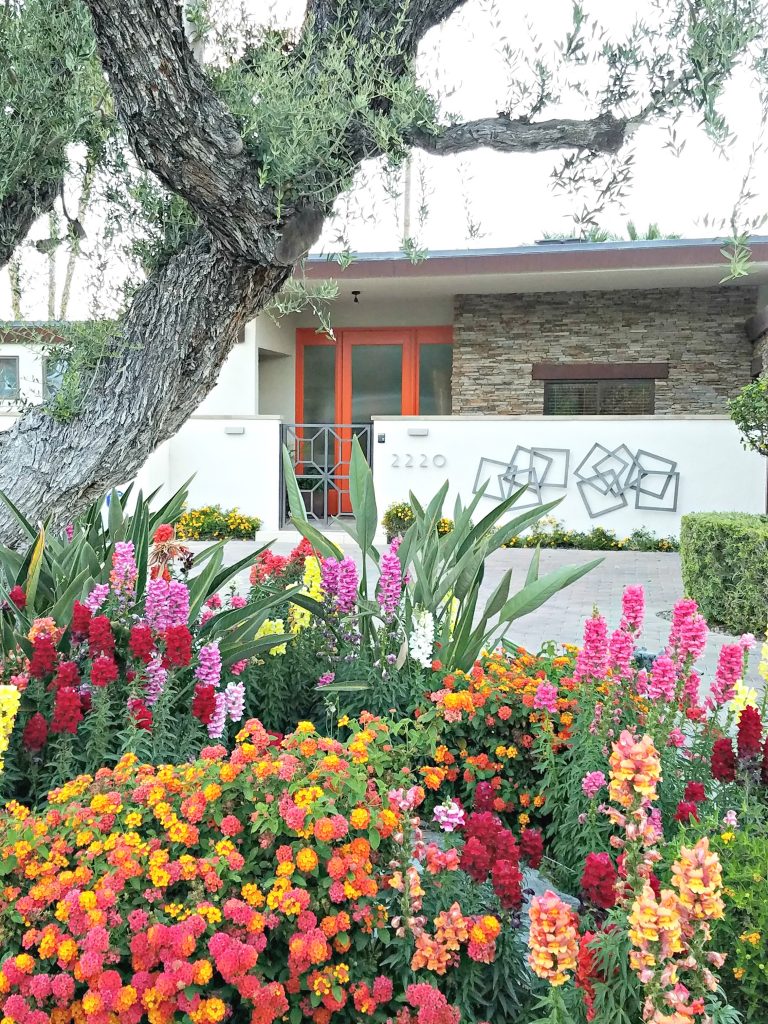 Palm Springs Colorful Doors Orange 3