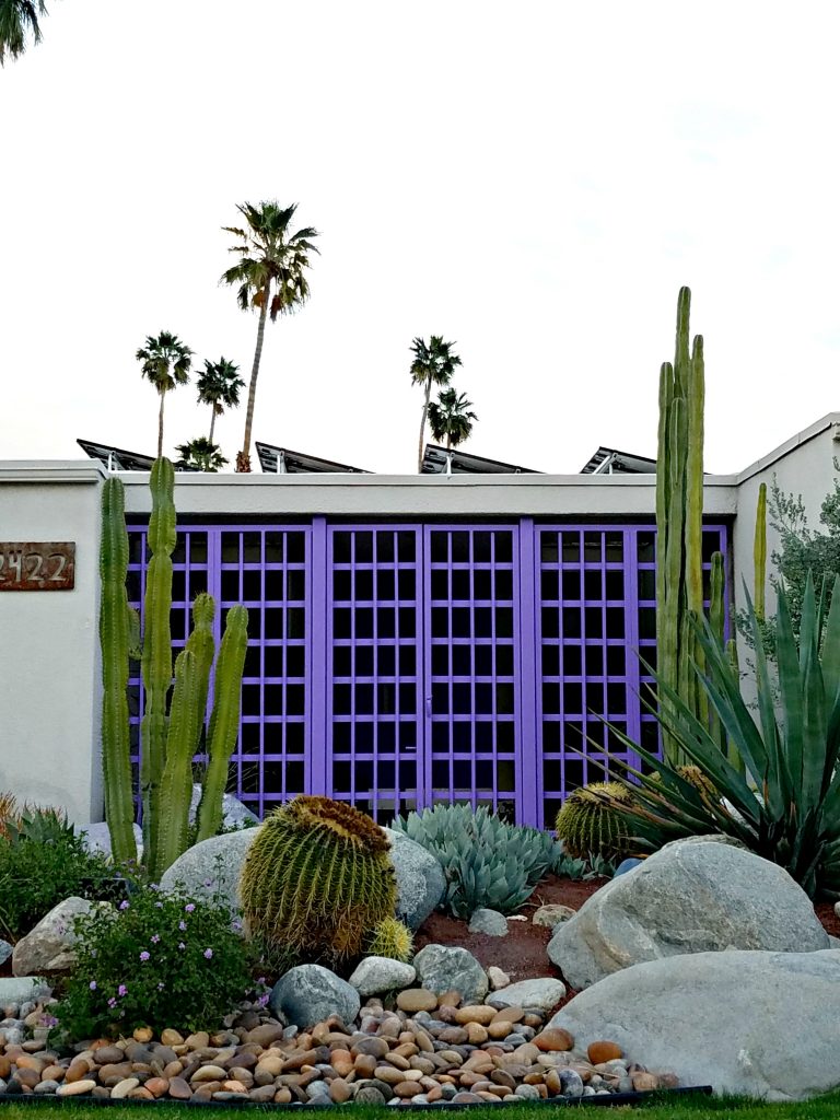 Palm Springs Colorful Doors Purple