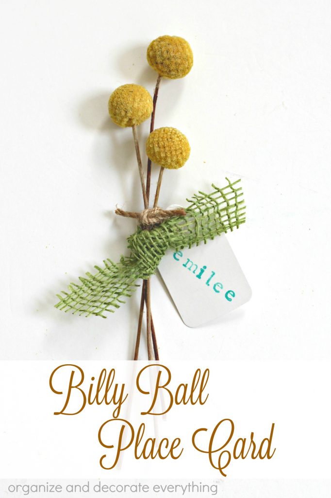 Billy Ball place cards perfect for a beautifully set table