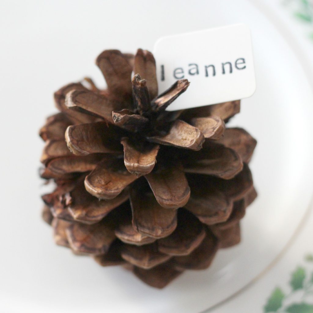 pinecone place cards natural