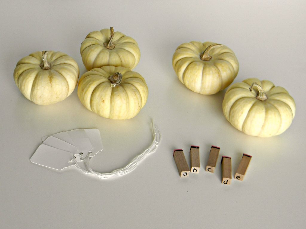 mini pumpkin place cards supplies