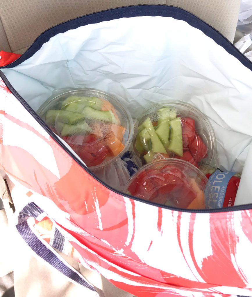 Fresh Market Thermal Tote Giveaway and Review Organize and